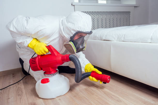 Best Spider Control Near Me  in Naples Manor, FL