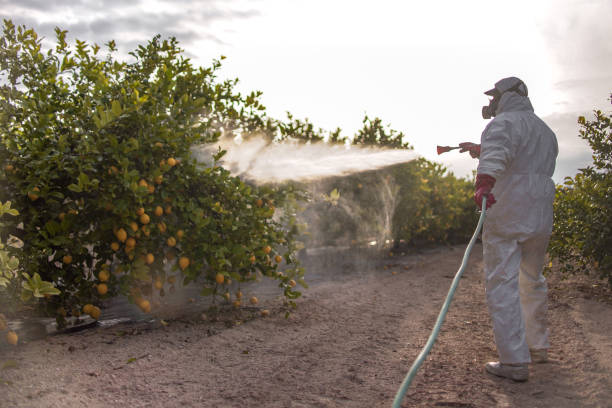Professional Pest Control in Naples Manor, FL